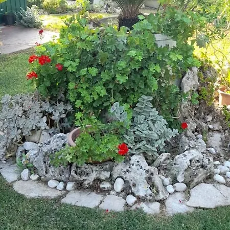 A Casa Di Sandra, Costa Dei Trabocchi Casa vacanze Paglieta